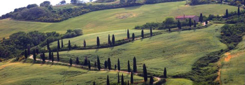 Intervista: riscoprire i sapori di una volta all’Agriturismo Palazzi del Papa