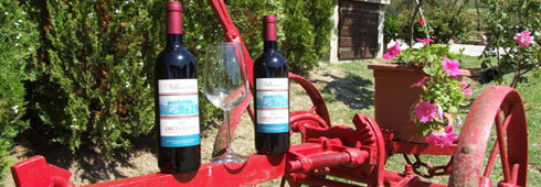 I top 5 agriturismi dove gustare i sapori della Toscana d’inverno