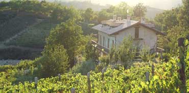 Una suggestiva veduta dell'agriturismo Rifugio dell'Anima