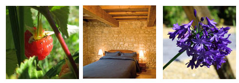 Benvenuti al Parco dei Cento Laghi: polmone verde d’Italia!