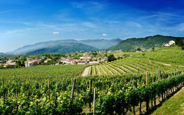 il bel panorama dell'Agriturismo Roccat in Valdobbiadene