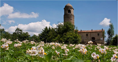 agriturismo-montagna-verde2