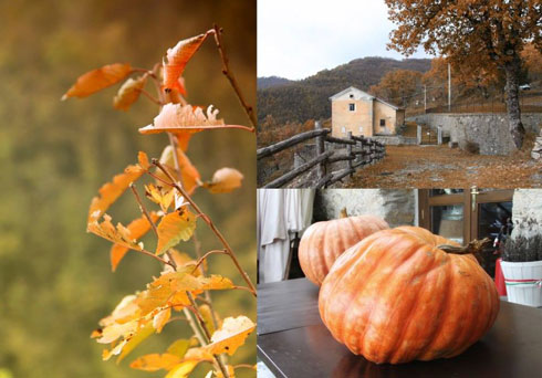 Weekend d’arte e natura: pievi e castelli tra la Val d’Orcia e la Lunigiana