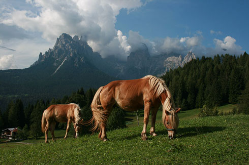 Vacanze ad alta quota: trekking e natura in agriturismo