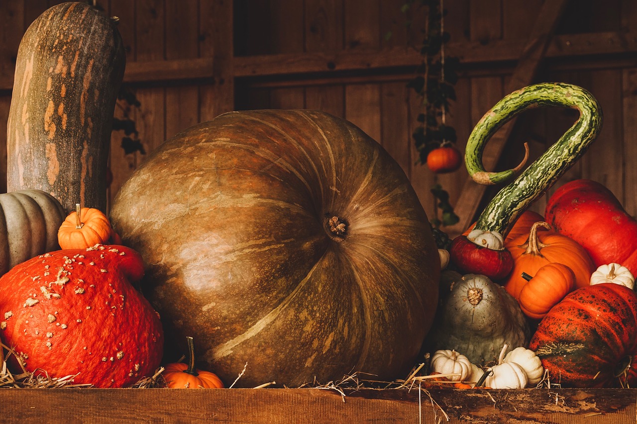 Halloween 2018 in agriturismo – Le offerte
