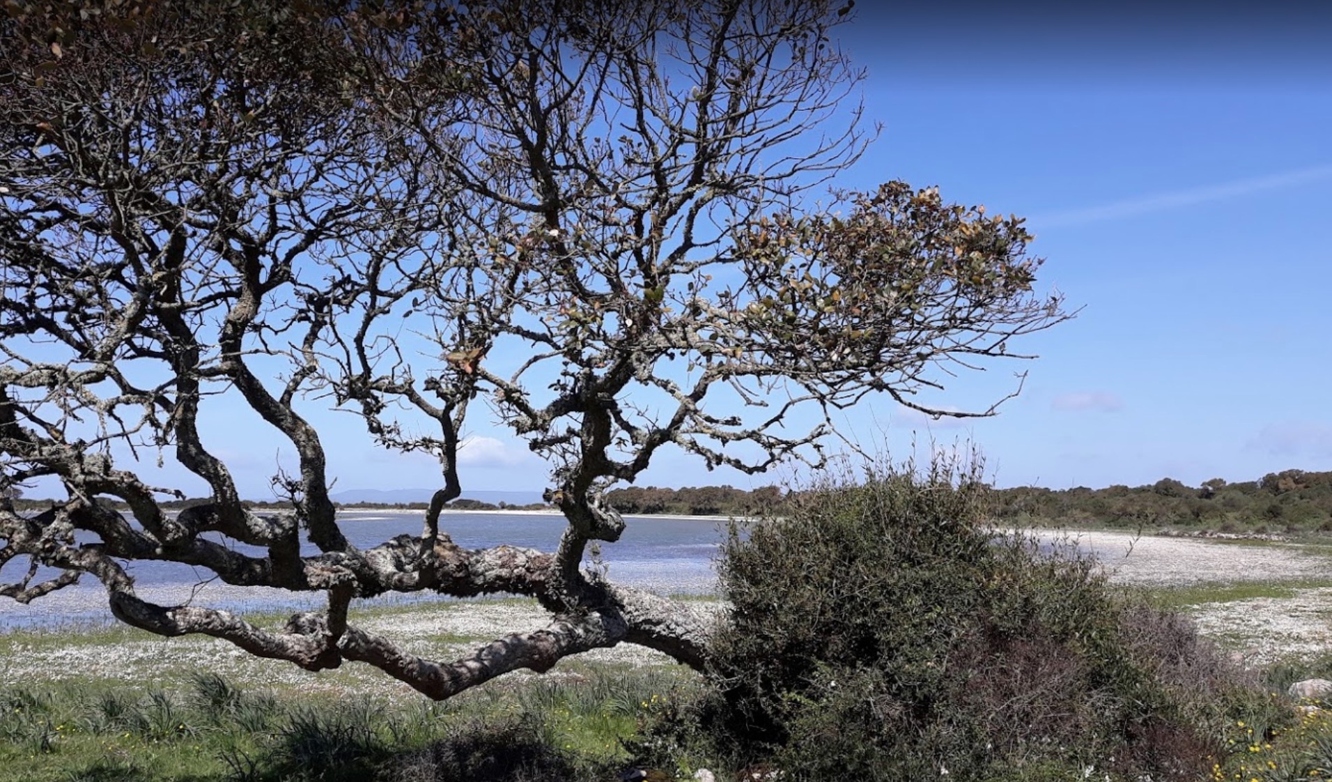 La Giara di Gesturi – Agriturismi nel cuore della Sardegna