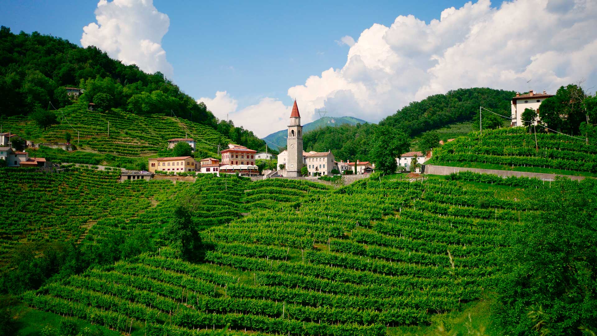 Agriturismi nelle colline del Prosecco