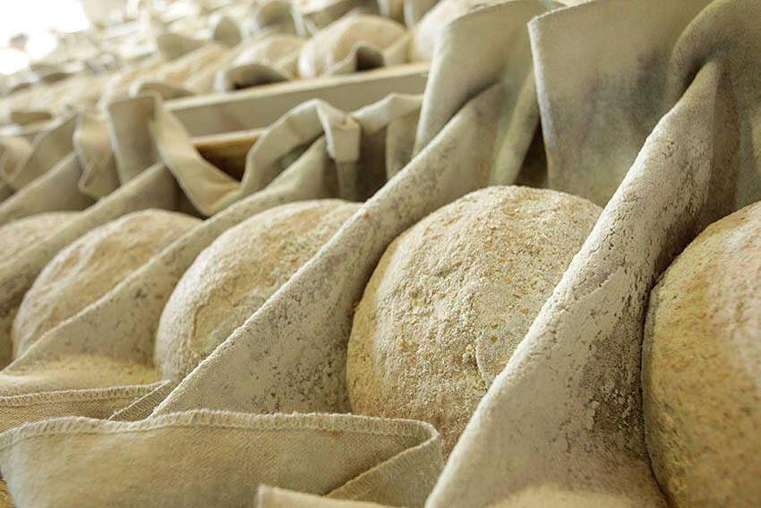 Il pane di Montegemoli