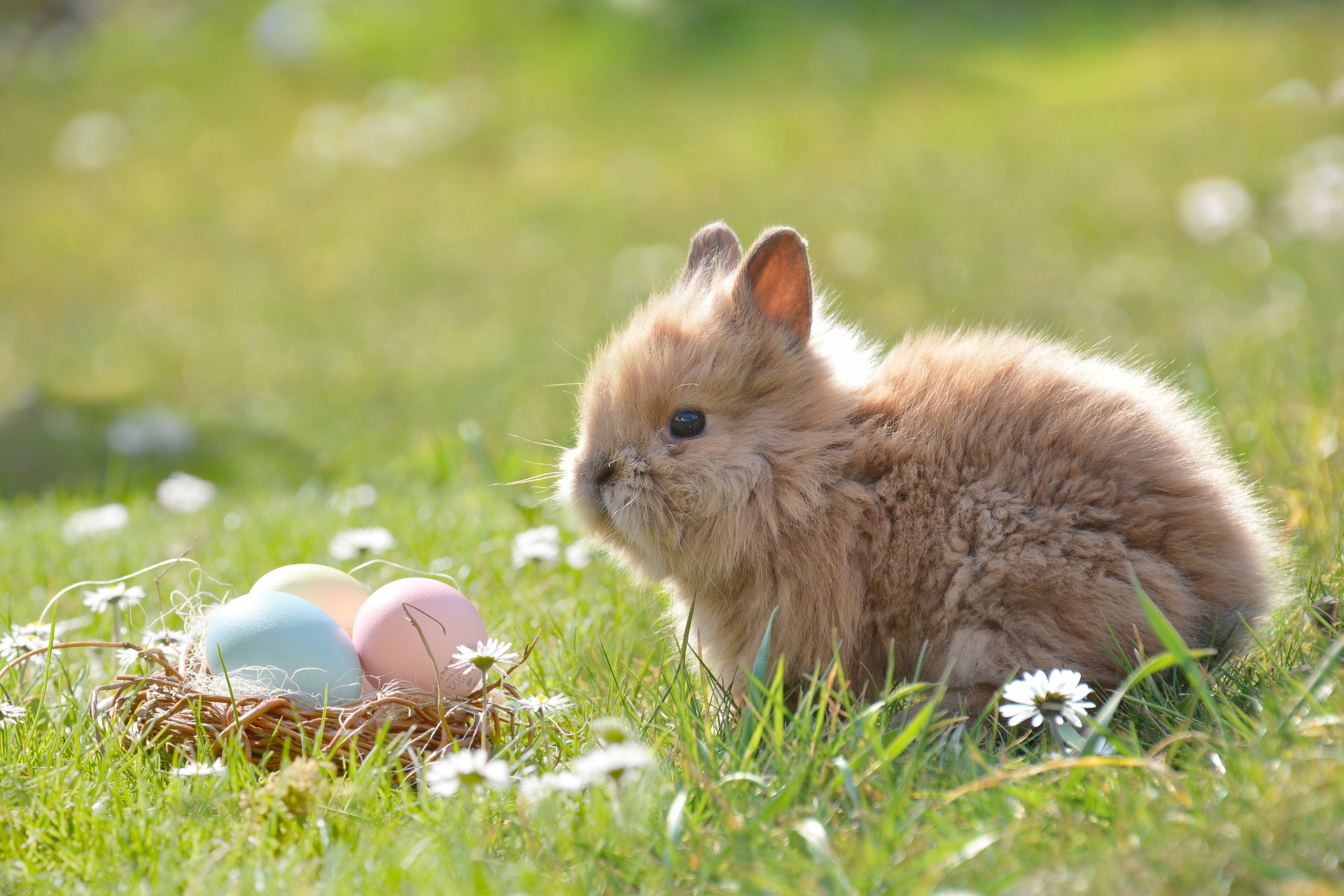 A Pasqua scopri le tradizioni della Sardegna in agriturismo