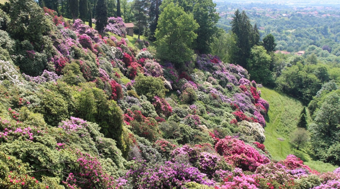 Parco della Burcina a Biella