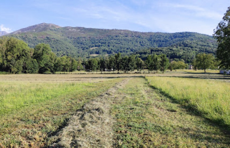 Agriturismi nel Canavese