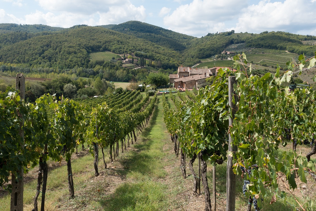 Agriturismi nel Chianti Fiorentino
