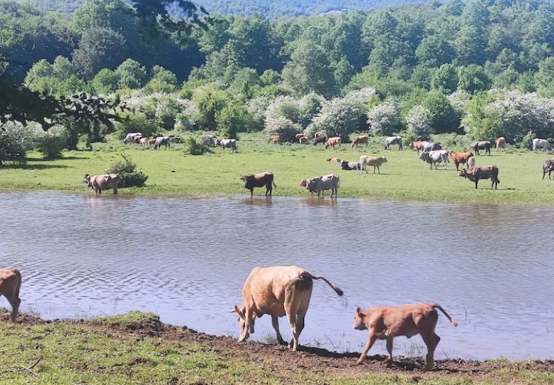 Gli agriturismi del Mugello