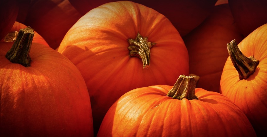 Offerte per Halloween 2024 in agriturismo