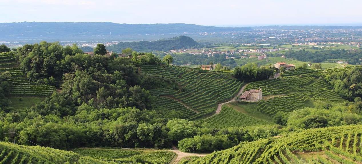 Vittorio Veneto in agriturismo