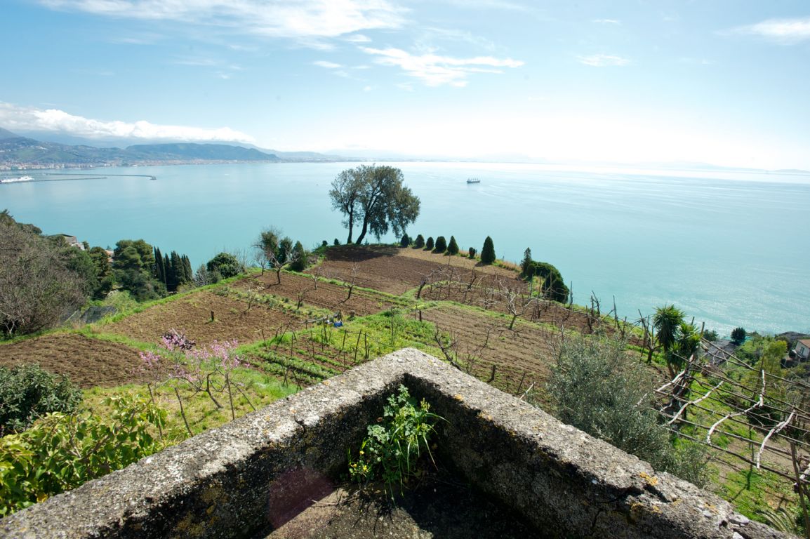 Agriturismi nel Cilento: tra natura, cucina e ospitalità autentica