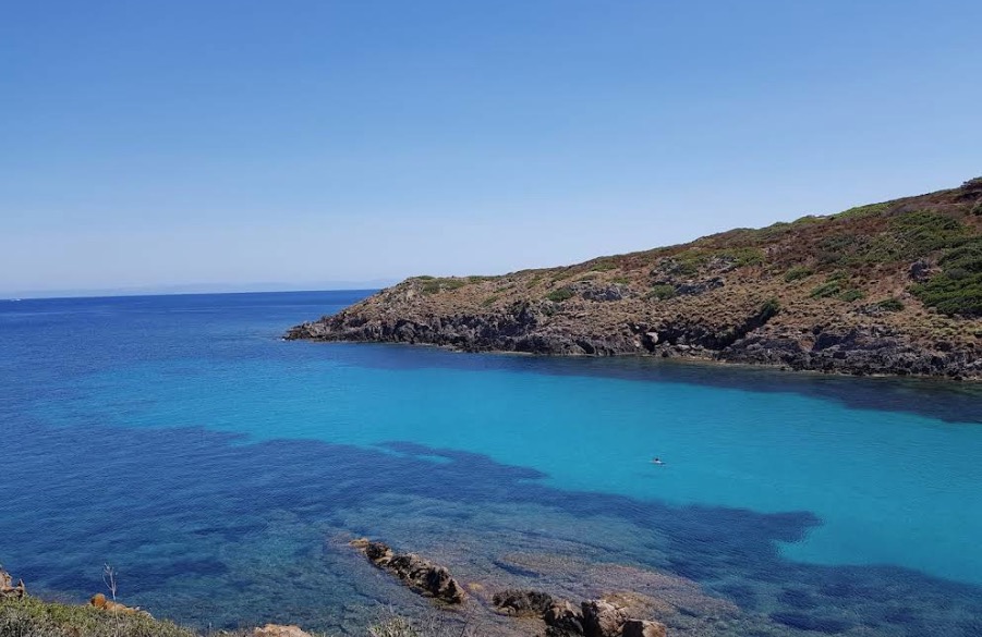 Isola dell’Asinara: natura selvaggia e ospitalità autentica negli agriturismi