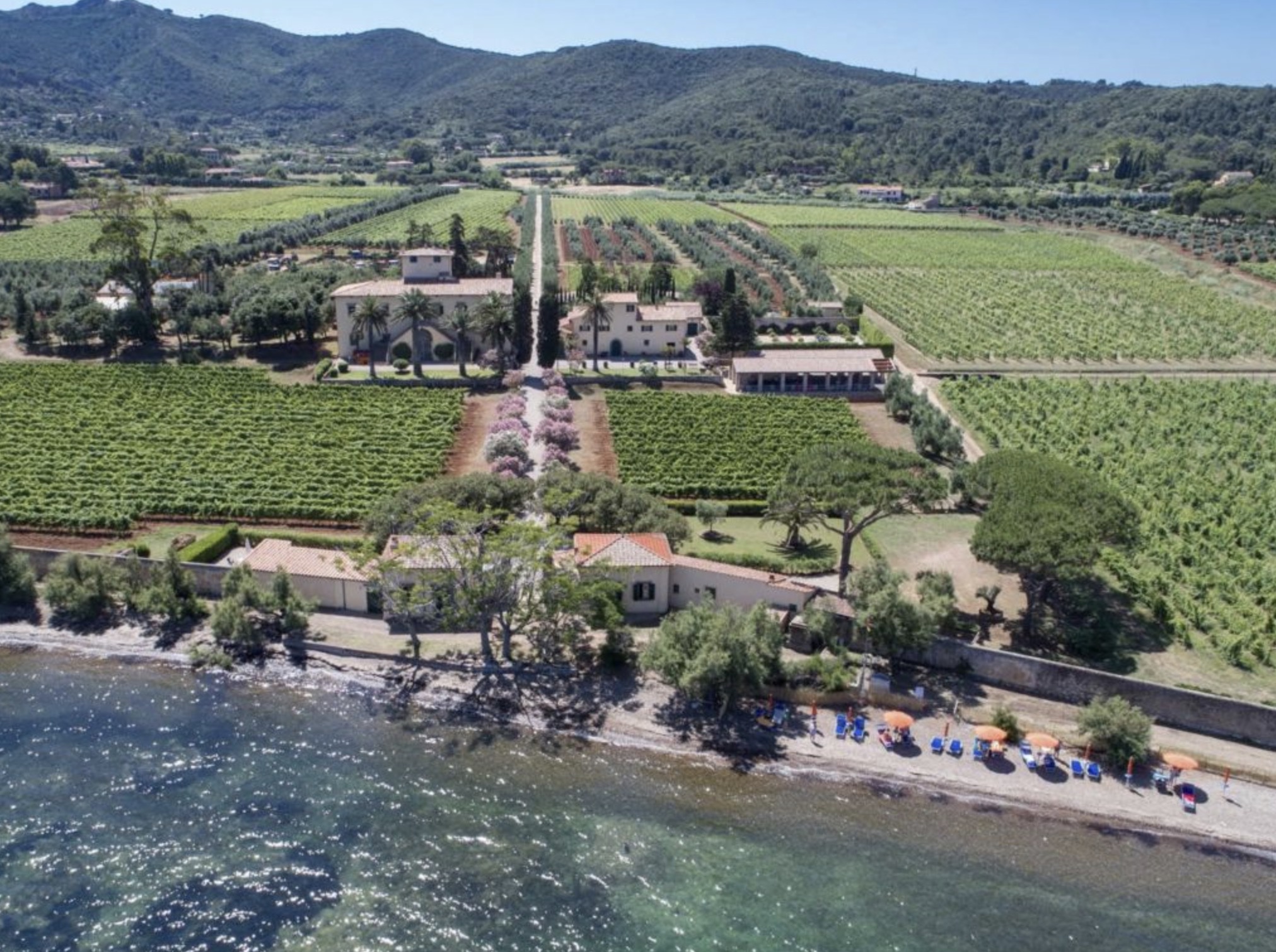 Dormire tra vigneti e mare all’Isola d’Elba: scopri l’agriturismo Tenuta La Chiusa
