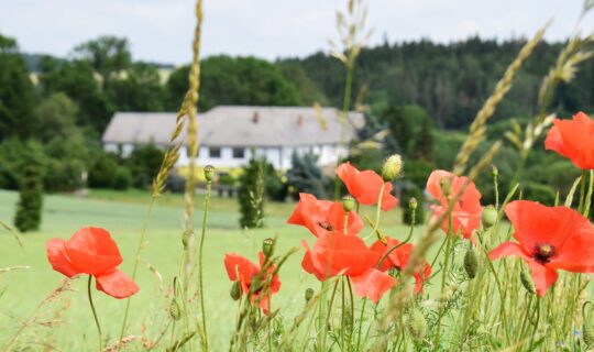 Primo Maggio da record per gli agriturismi italiani: 800.000 presenze