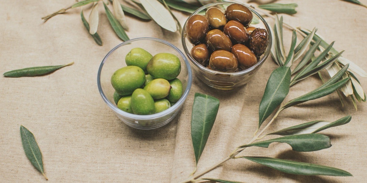 Olio nuovo in agriturismo: dove e quando