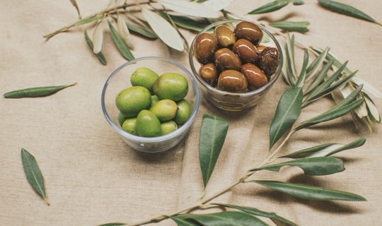 Olio nuovo in agriturismo: dove e quando