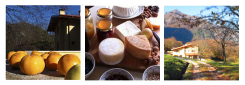 Spa treatments in the province of Brescia