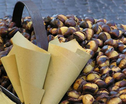 Festival of Mushroom and Chestnut in Vivo d’Orcia