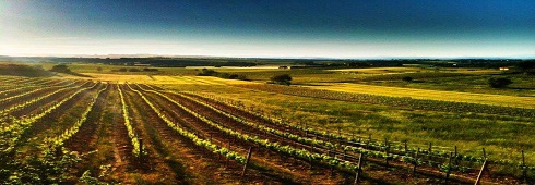 Farmhouses in Veneto: news about the regional law