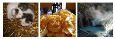 Interview: Farmhouse Podere San Giorgio, the kingdom of Tuscan pecorino cheese
