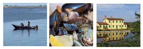 Food and wine tour in the Polesine area: colors, scents and flavours between earth and water in the Po Delta