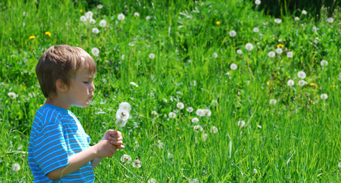 Spring is in the air! Italian markets and events dedicated to nature, flowers and gardens