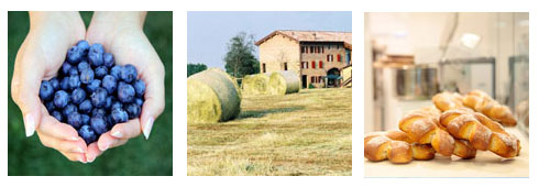 The best Italian food and wine at CIBUS of Parma: suggestions for a stay at a Farmhouse