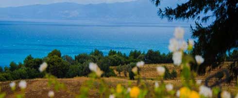 The wonders of the Mediterranean: an Italian journey between sea and nature