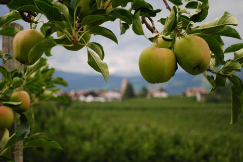 Trentino-Alto Adige, let’s chill out in the green quiet of the mountain