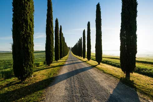 Bike tour in Italy: places to discover on two wheels!