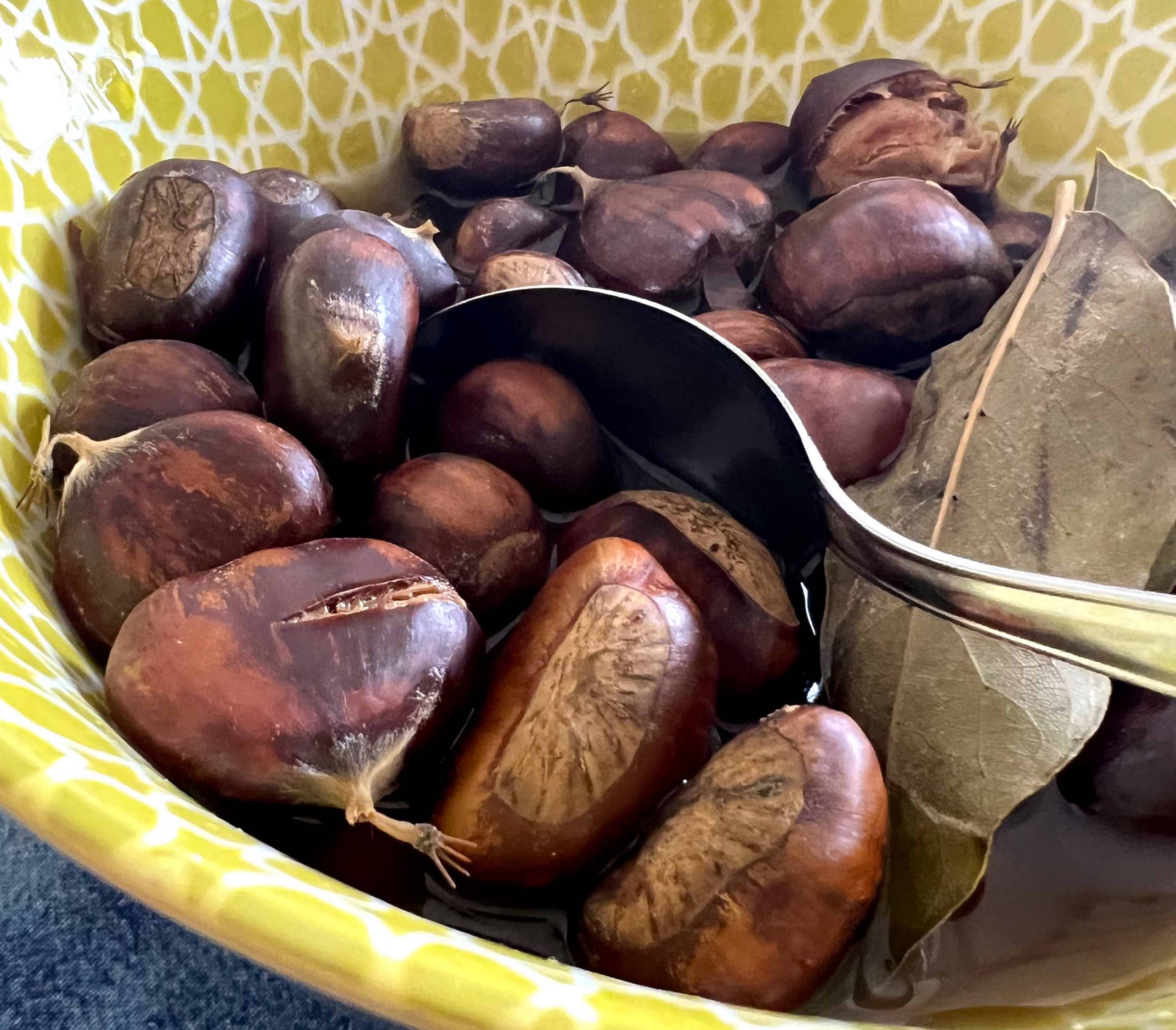 Chestnuts: autumn at Italian farm stays, between woodlands, hearths, and home cooking