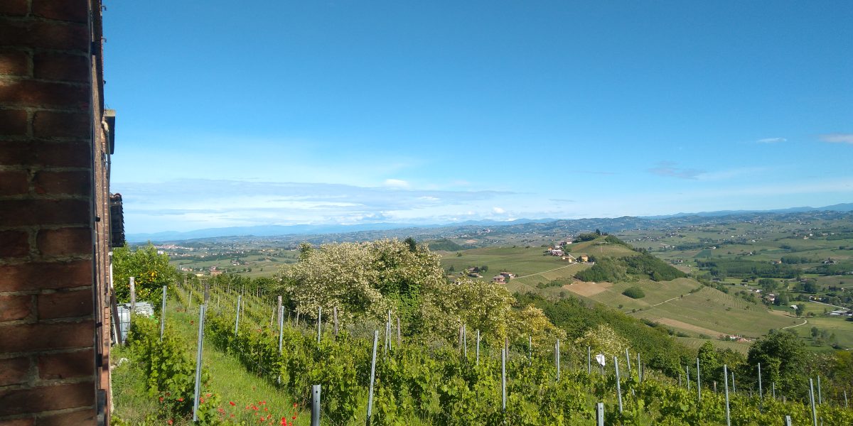 Descubriendo el Monferrato