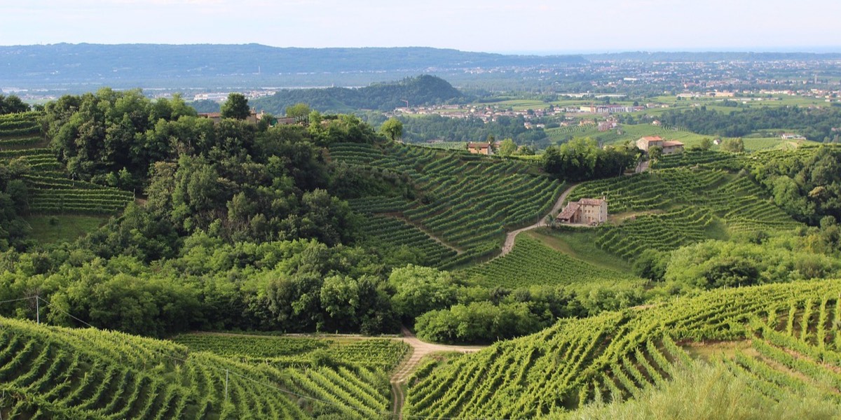 From Venice to the Prosecco Hills