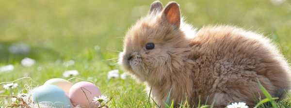 Lunes de Pascua en una finca