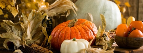 halloween on a farm houses