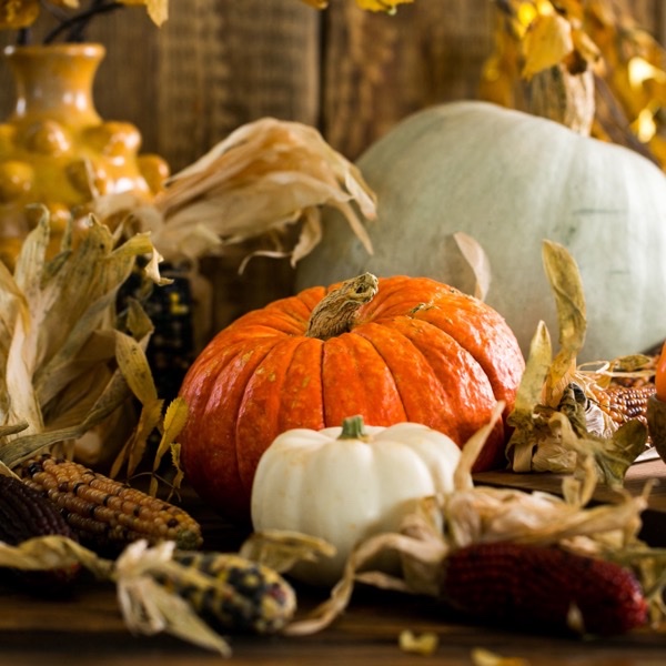 Halloween On A Farm Houses