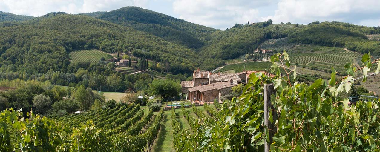 Chianti landscape with vineyards, olive groves, and stone farmhouses