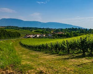 Panorama Veneto