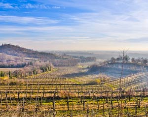 Panorama Friuli-Venezia-Giulia