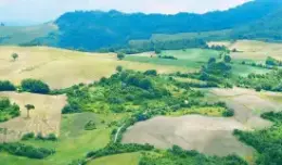 Molise