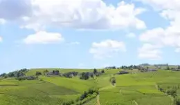 Piemont