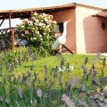 Suite Girasoli (1)