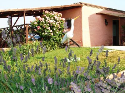 Suite Girasoli