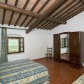 Gelsomino (1)