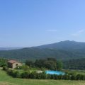 Alloro (1)
